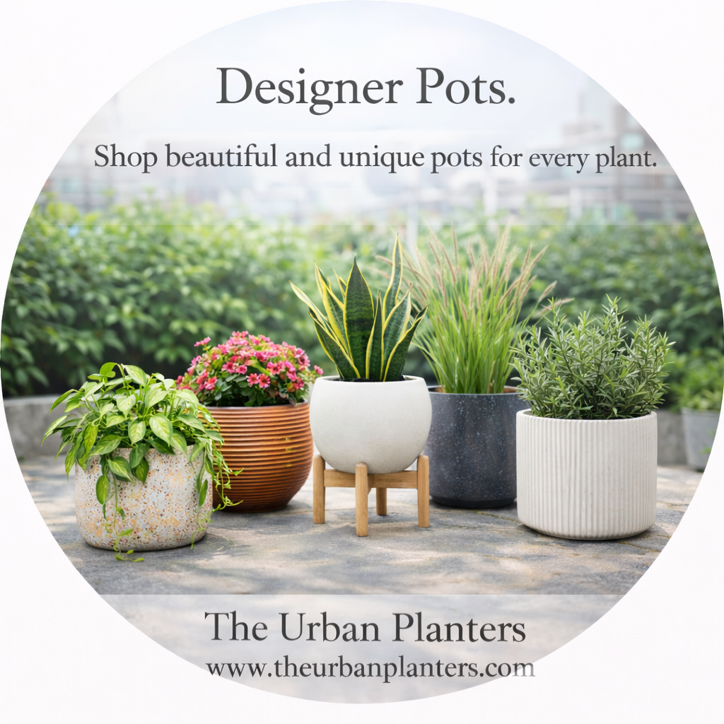 Modern Designer Pots - The Urban Planters