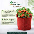 12*12 Inch Geo Fabric Grow Bag | 450 GSM | Best for Vegetables