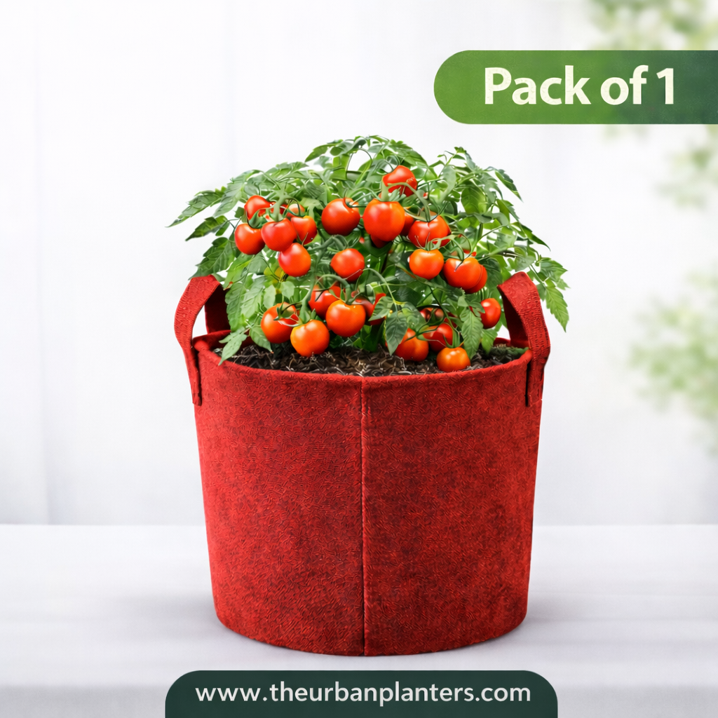 12*12 Inch Geo Fabric Grow Bag | 450 GSM | Best for Vegetables