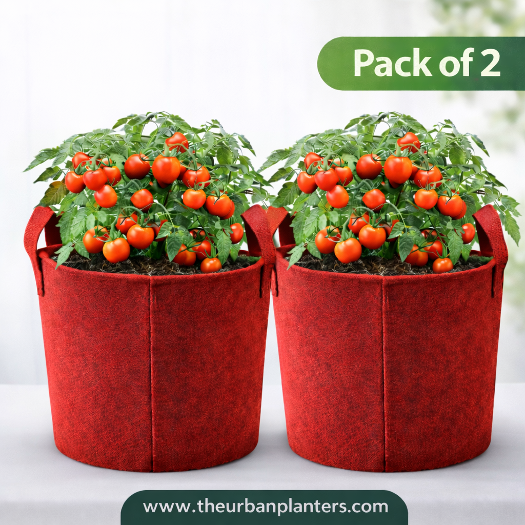 12*12 Inch Geo Fabric Grow Bag | 450 GSM | Best for Vegetables