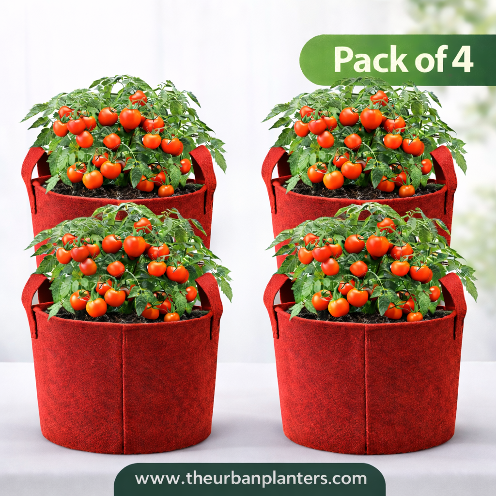 12*12 Inch Geo Fabric Grow Bag | 450 GSM | Best for Vegetables