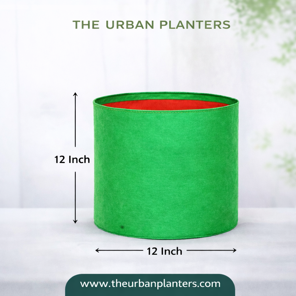 12*12 Inch Grow Bags | 240 GSM Long Lasting