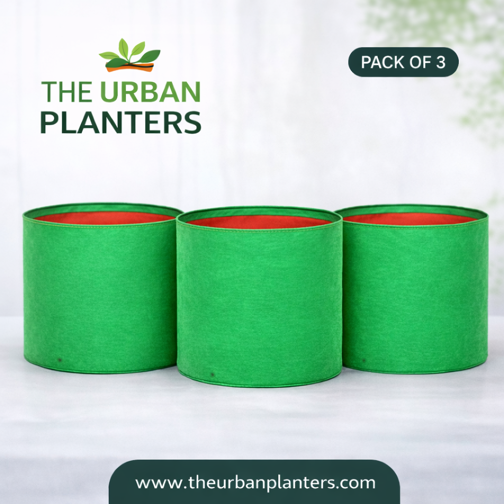 12*12 Inch Grow Bags | 240 GSM Long Lasting