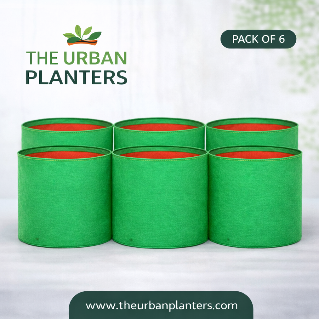 12*12 Inch Grow Bags | 240 GSM Long Lasting